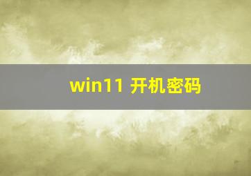 win11 开机密码